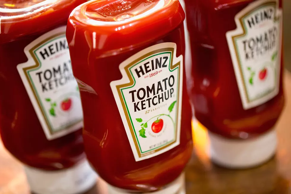 WNY Designed & Manufactured Ketchup Dispensing Robot Makes It’s Debut At The Erie County Fair